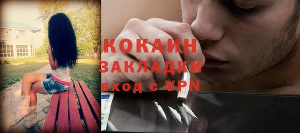 ГАЛЛЮЦИНОГЕННЫЕ ГРИБЫ Алзамай