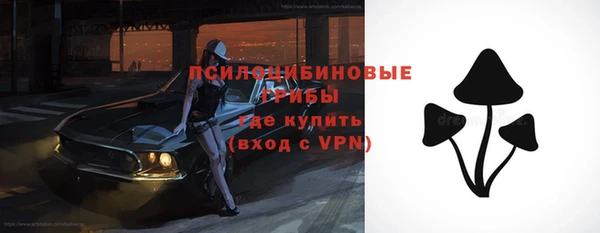 ПСИЛОЦИБИНОВЫЕ ГРИБЫ Алексин