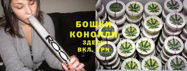 ГАЛЛЮЦИНОГЕННЫЕ ГРИБЫ Алзамай