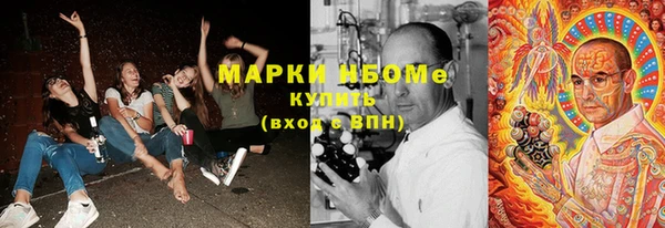 ПСИЛОЦИБИНОВЫЕ ГРИБЫ Алексин