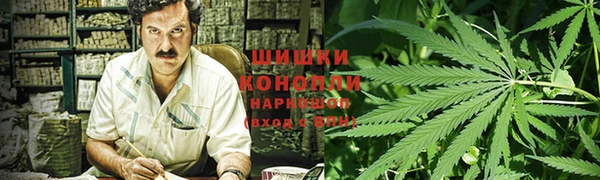 ПСИЛОЦИБИНОВЫЕ ГРИБЫ Алексин